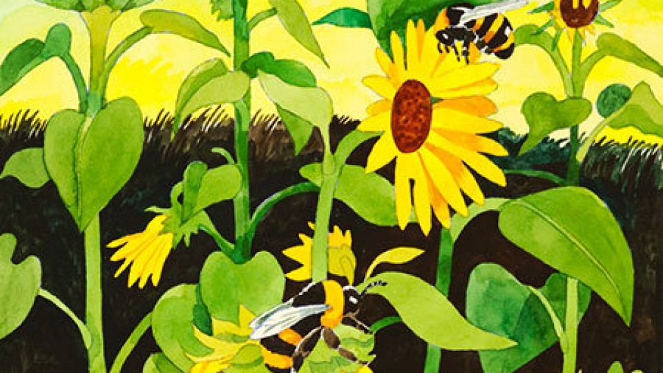 SUNFLOWERS-WITH-BUMBLE-BEES-9×9-450